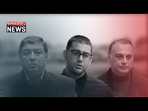 კონსულტაციები ოპოზიციურ პარტიებში