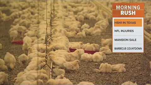 Texas sees its first case of bird flu this winter