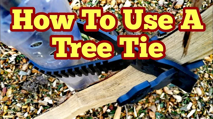 How To Use A Tree Tie/ Unboxing, Use, Demonstration On New Planted Fruit Trees