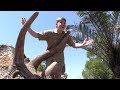 Crikey Australia Zoo's Robert Irwin celebrates his 15th birthday!