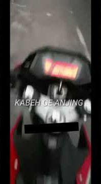 Kabeh g anjing status wa