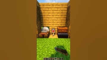 Minecraft Block Swapper 🤯 (もういいよ) #shorts