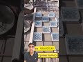 Glass bricks for light