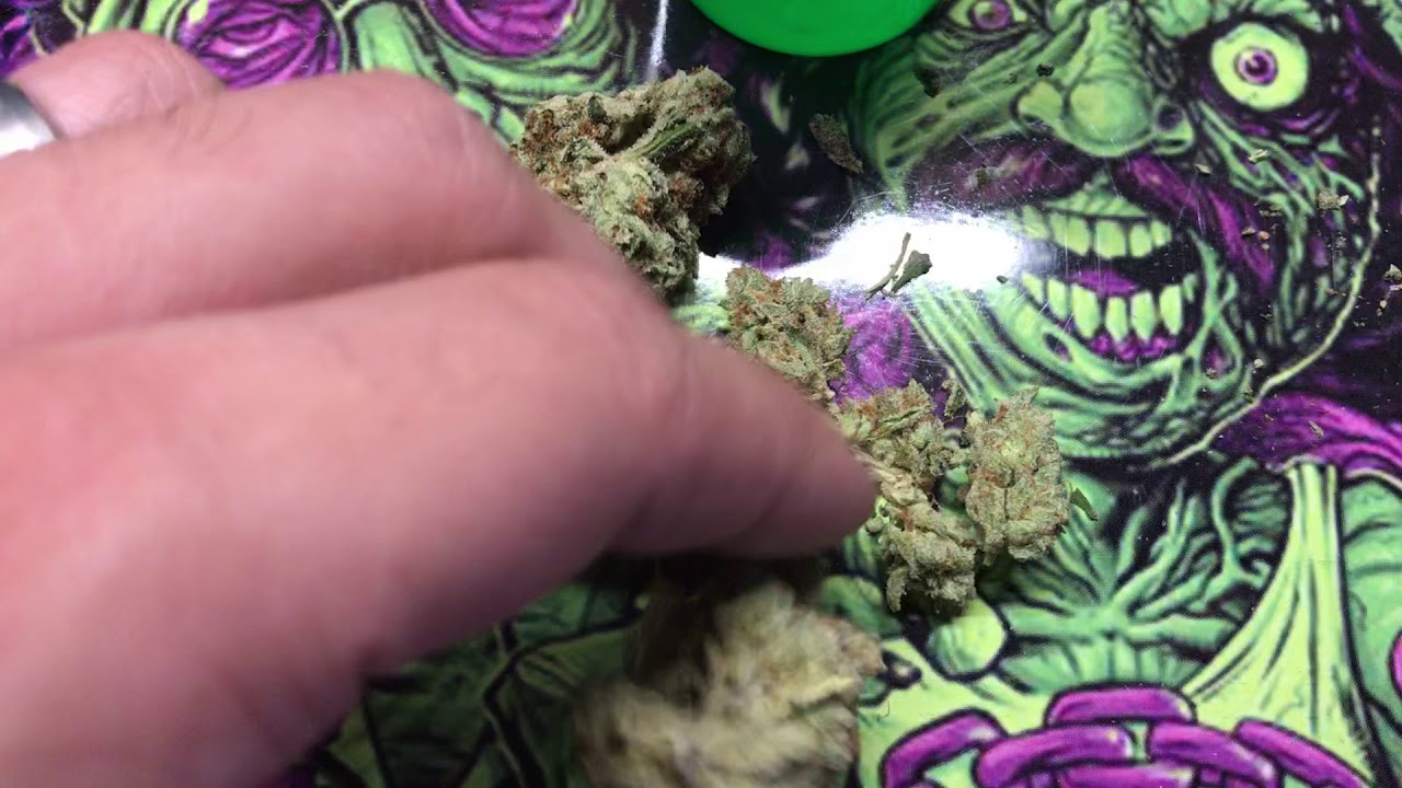 King Louis XIII weed strain