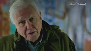 David Attenborough: A Life on Our Planet