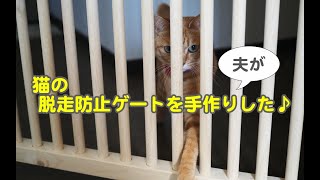 猫の脱走防止ゲートを手作りしました♪