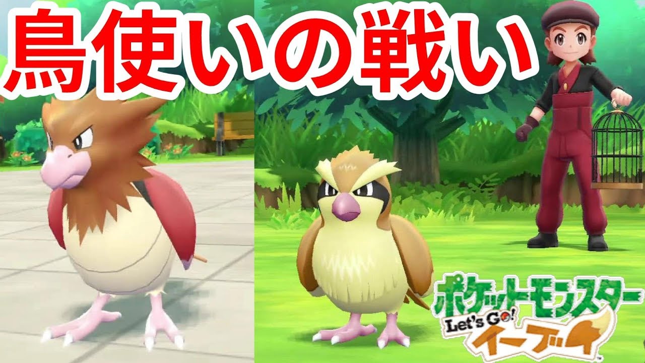 ポッポとオニスズメの鳥使いマスター戦 鳥は空を飛んで逃げるのだ ポケモンlet Sgo イーブイ Youtube