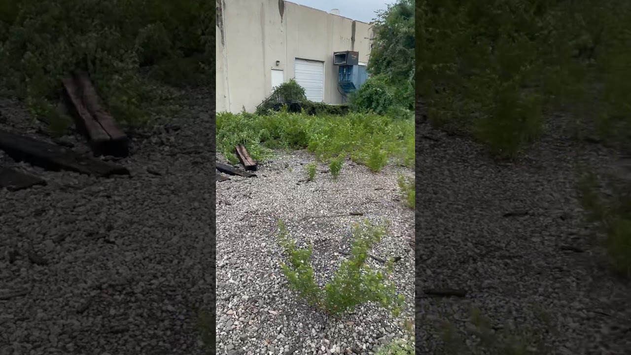 Bergstrom Spur Abandoned #18