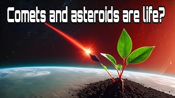 Are comets and Asteroid the sources of the origin of life on earth?