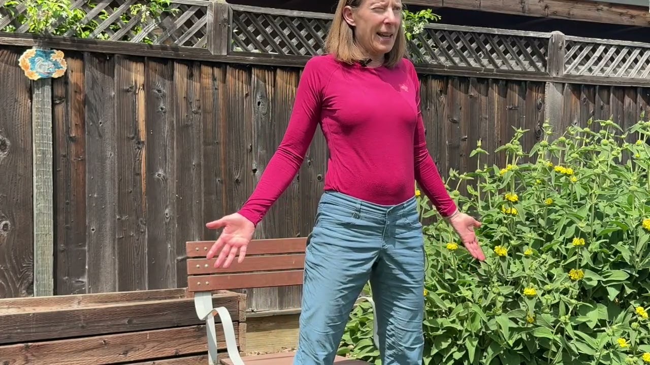 Seated Abs and Chair Squat Sequence