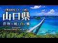 【都道府県のテーマ曲】山口県 🌉 蒼海へ続く白い橋 Yamaguchi