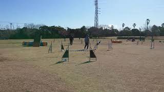 Sou Steeplechase 24Inch Class Opdes A-1 In Sodegaura 202029