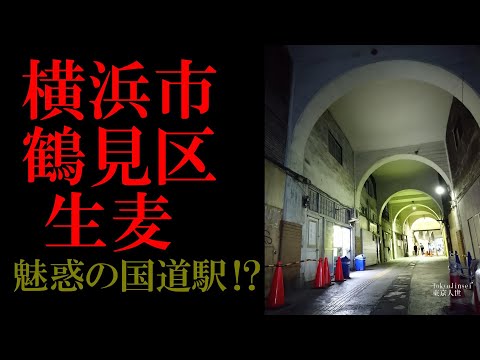 No.352(番外編)神奈川県 横浜市 鶴見区・生麦のテーマThe theme music of Namamugi in Yokohama(Japan)・東京人世TokyoJinsei