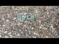 草焼きバーナーは効果あったのか!?⁉️