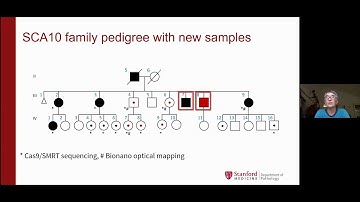Optical mapping & long-read sequencing decipher structural composition of ATXN10 repeat expansion