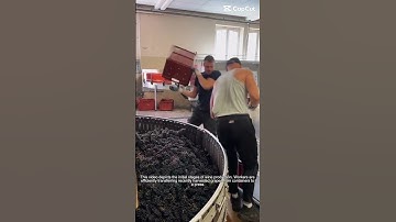 Efficient Grape Processing in a Commercial Winery