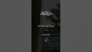 يقول يٰليتني قدمت لحياتي 🤍🎧 #سورة_الفجر #islamicstatus #quran #اكسبلور #لايك