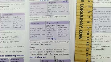 Language Focus: have got, there