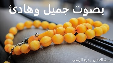 سورة الانفال بصوت القارئ الشيخ وديع اليمني