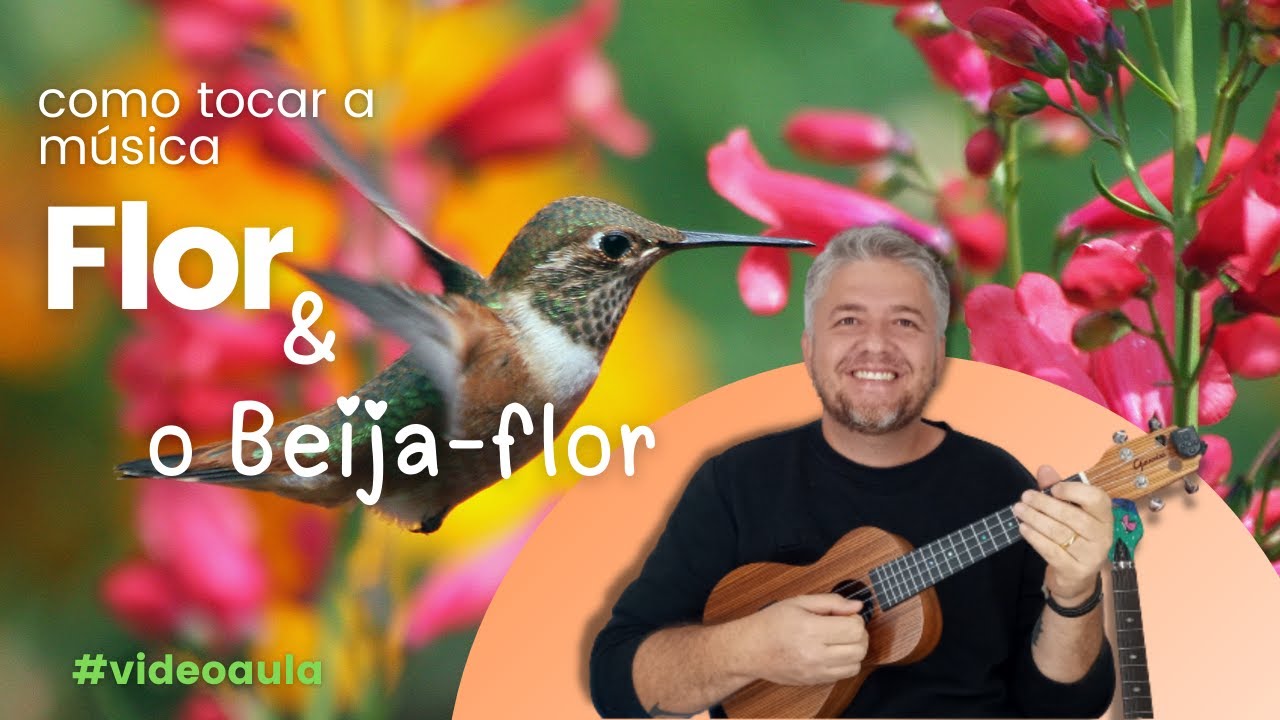 Como tocar a música Flor e o Beijaflor (Henrique e Juliano) no Ukulele