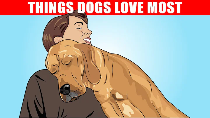 15 Things Dogs Love the Most - DayDayNews