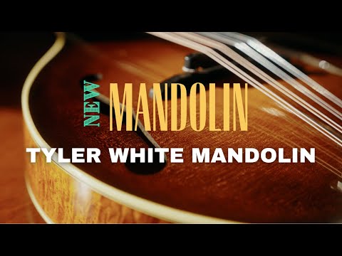 Comparing a Tyler White Mandolin to a Gilchrist and Nugget!