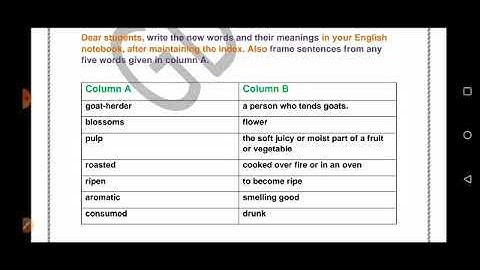 Grade 3 English Dated 04 08 2021