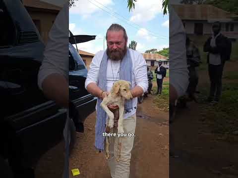 We will come for you 🤍 https://tanzania.creatorshare.com/invisiblechildren/kilimanjaro-animal-rescue