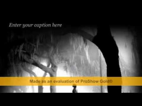 فى غمضه عين حسام حبيب