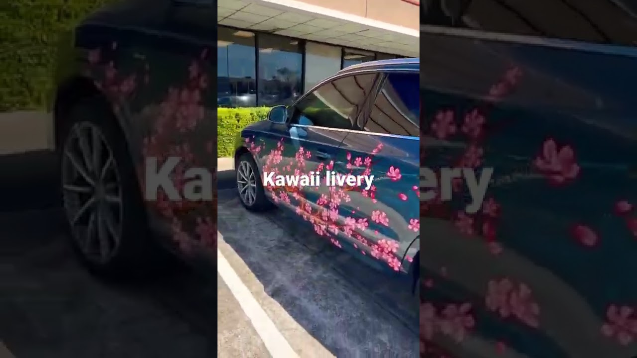 Different Car Skins Designs 