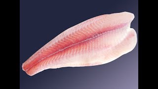 Рыба Пангасиус Фото И Описание Польза