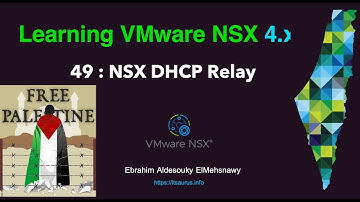 49 NSX DHCP Relay