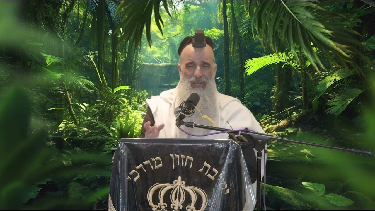 הרב מאיר דוד שמואלי - למה אנחנו לא נגאלים?