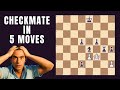 Checkmate in 5 moves by shashwata saha