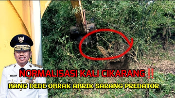 Normalisasi kali cikarang ‼️ Bang dede obrak abrik sarang predator ❗ #dedimulyadi 
