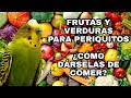 Frutas y verduras para periquitos / como darles frutas y verduras a nuestros periquitos