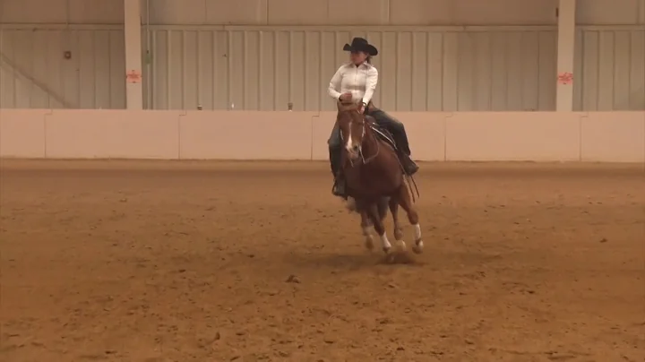 32417 Novice Kimberley Wolfe on Whooz got Juice