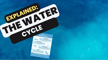 Explained: The Water Cycle