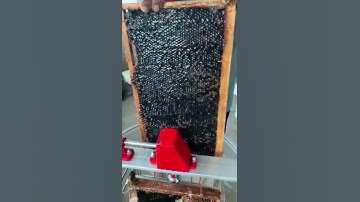 Professional 2/3/4/6/8/12/24 frames Honey Extractor Manual Honey Extraction Beekeeping Equipments