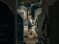 scary videos jump scares very scary