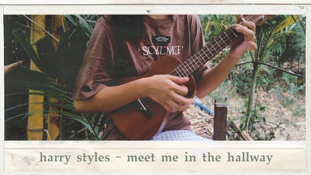 harry styles - meet me in the hallway (ukulele tutorial with chords