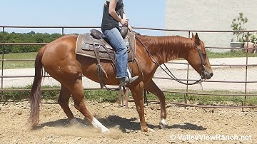 Colie Wood - riding in the roundpen - ValleyViewRanch.net