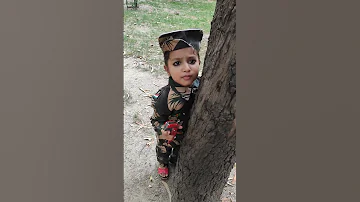 O Desh Mere Tu Jeeta Rahe Tune Sher Ke Bachche Pale Hai 