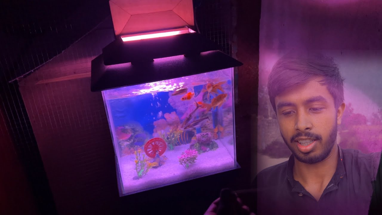 Fish Ka Colour Change Ho Gaya 😂 YouTube