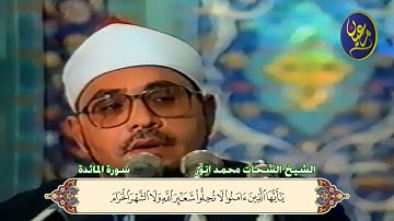 فيديو مرئي خاشع للشيخ الشحات محمد أنور | ما تيسر من سورة المائدة جودة عالية HD