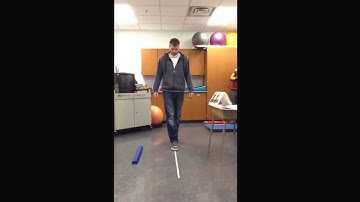 BOT 2 Subtest 5:Balance