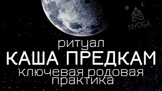 видео: Каша Предкам • Родовая Практика • Ритуал отмаливания рода • Питру-Пакша • проработка рода • NYOGA.RU картинка: Каша Предкам • Родовая Практика • Ритуал отмаливания рода • Питру-Пакша • проработка рода • NYOGA.RU