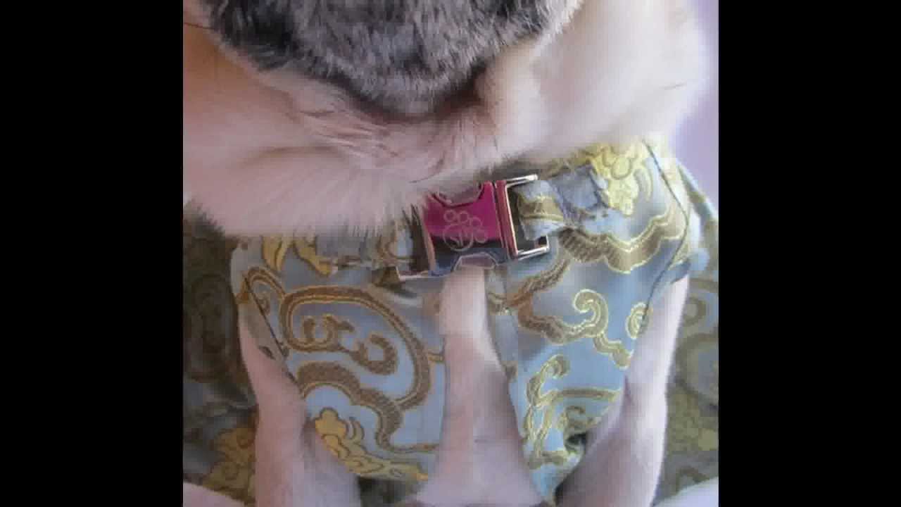 Small Dog Party Dresses