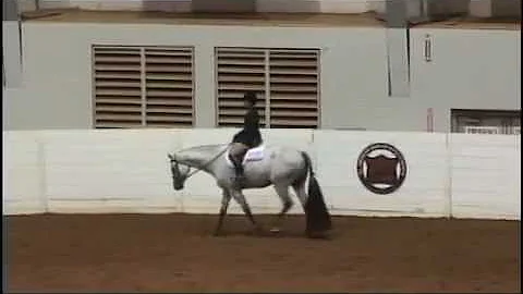 ALL AMERICAN QUARTER HORSE CONGRESS ..MATURITY NON PRO PRELIMINARIES