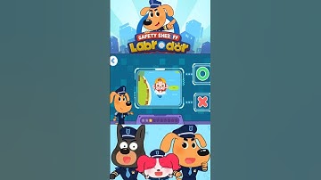 Safety Sheriff Labrador #70 - Is It Safe to Swim and Play in a Pond or River?